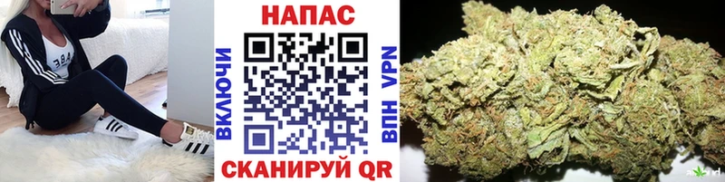 Где купить наркоту Северодвинск A-PVP  Марихуана  КОКАИН 