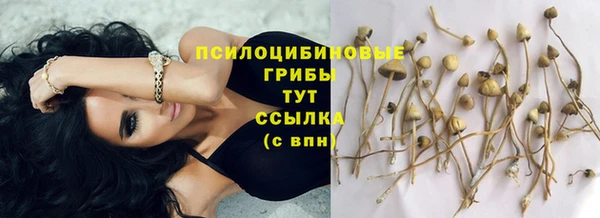 альфа пвп Верея