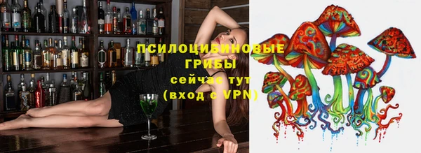 шишки Володарск